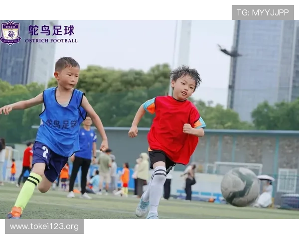 欧博真人足球让你在家也能体验真实体育场的足球盛宴，感受比赛的热血沸腾