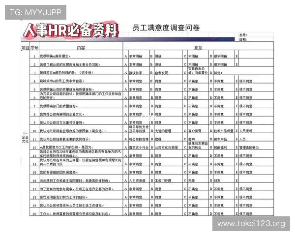 用户对凯发网站app的真实反馈与满意度调查结果
