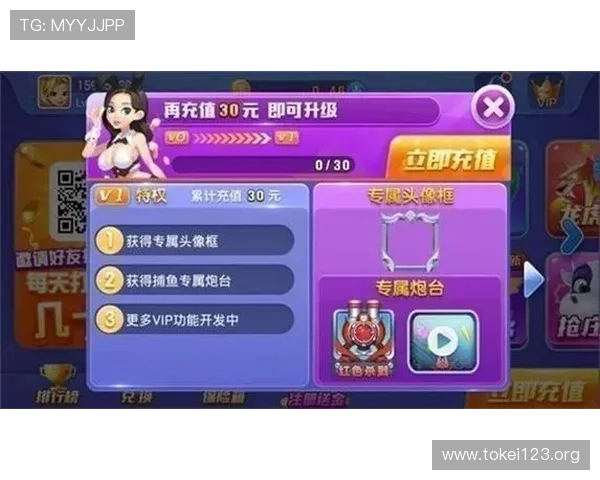 蓝月牌棋