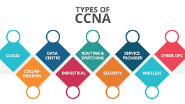 career opportunities for CCNA certificate holders
